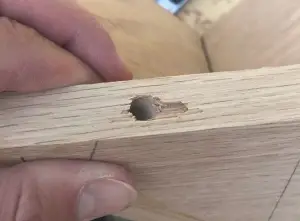 Wood drilling tear-out
