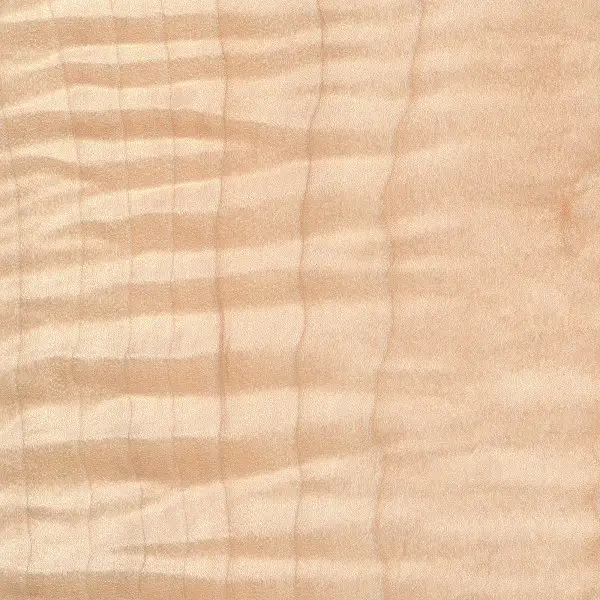 Wavy grain displayed in this curly maple