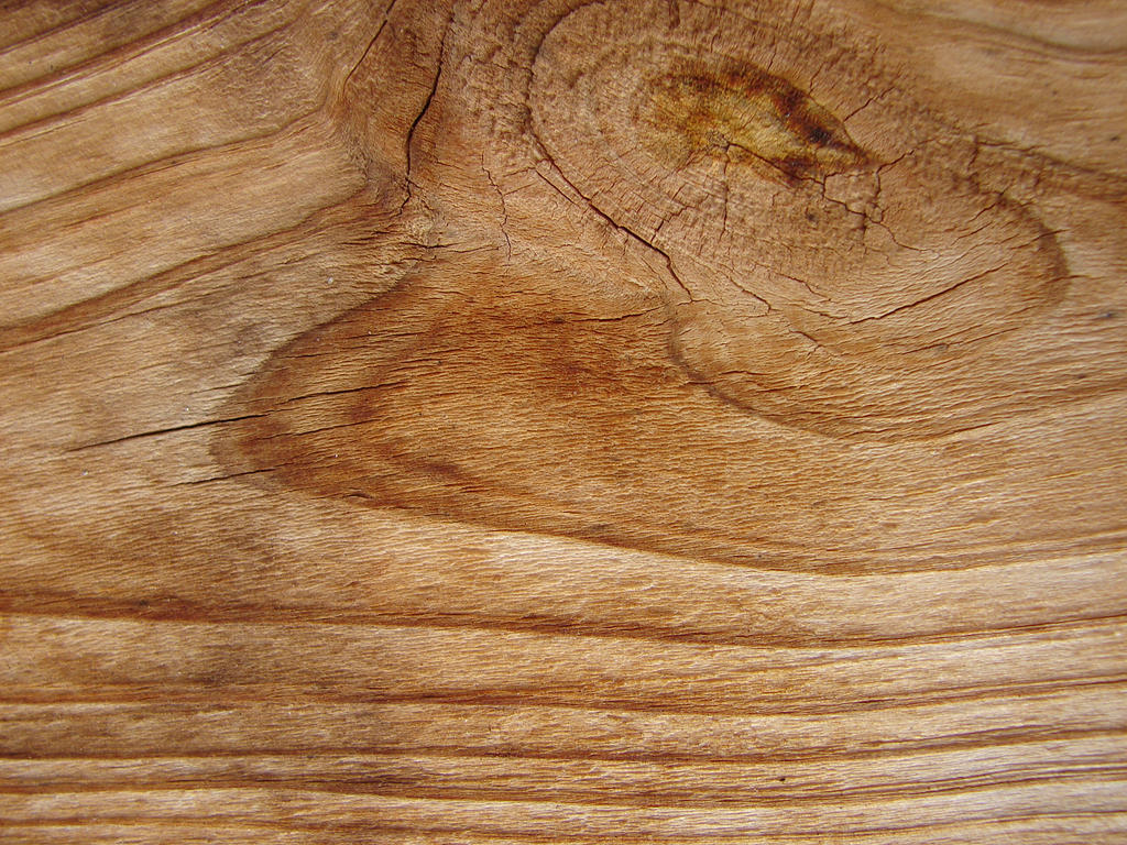 Wood Grain: Everything The Woodworker Needs To Know