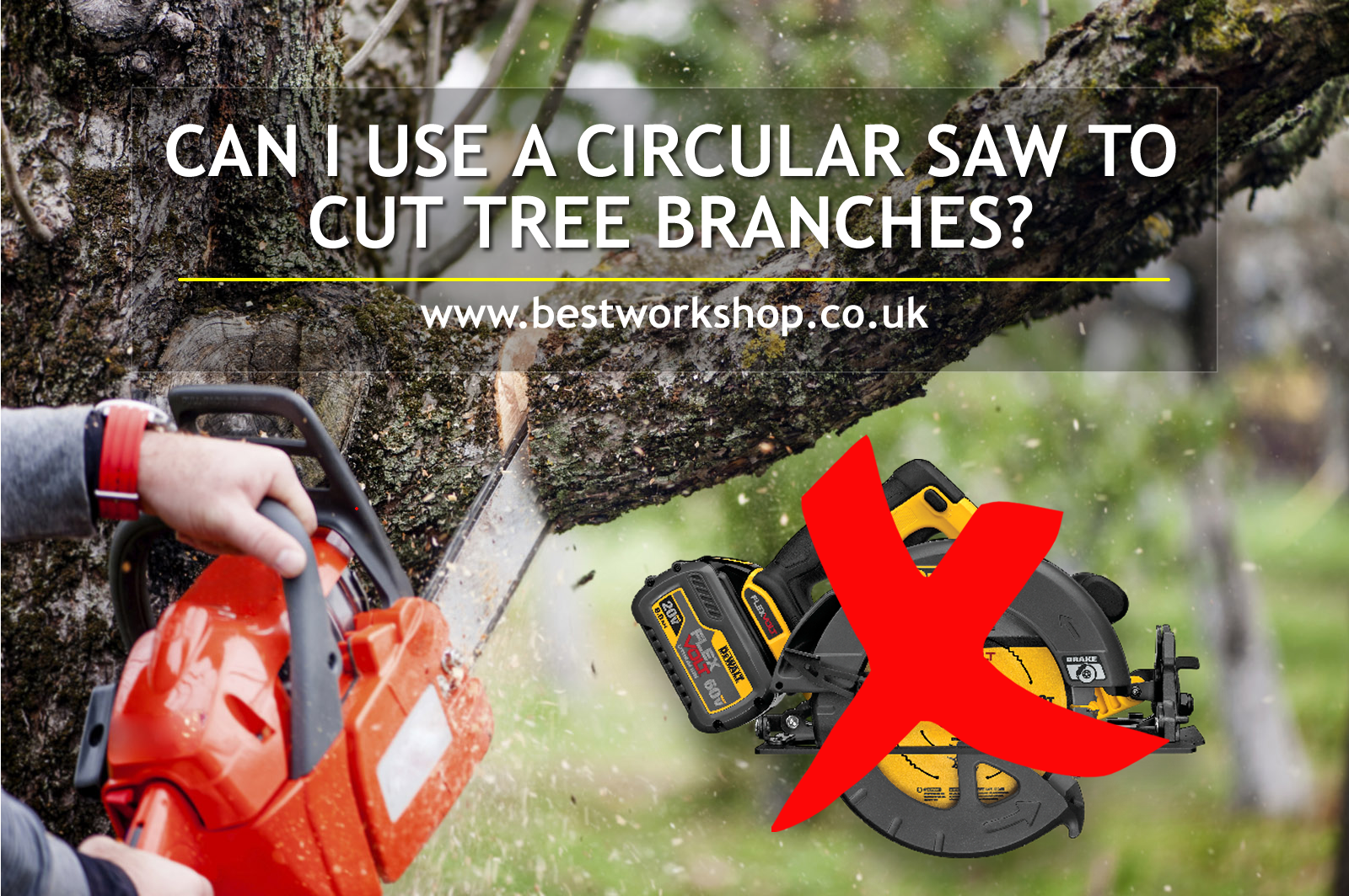 Can I Use A Circular Saw To Cut Tree Branches?
