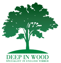 Deep in Wood