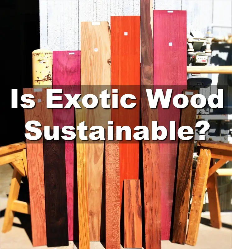 Is Exotic Wood Sustainable? We Uncover The Truth